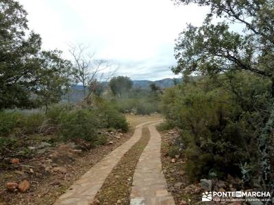 Pico Rocigalgo;Cascada Chorro,Cabañeros; dehesa boyal alpujarra granadina la cabrera madrid cascada